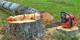  Presque Isle, ME Tree Care Pros